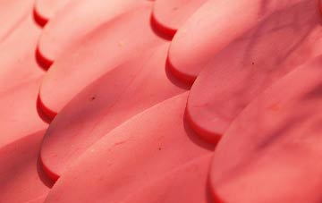 Tadhill plastic roof costs